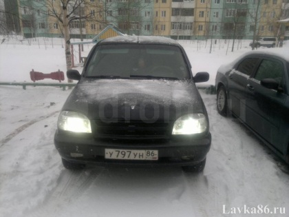 ������� Chevrolet Niva 2008 �., ��������