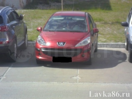 ������� Peugeot  207 2007 �., ��������