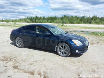 ������� Nissan  Maxima 2005 �., ��������